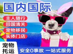 泉州晋江机场空运国际宠物托运 【国
